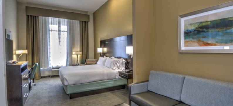 智选假日套房酒店甸南(Holiday Inn Express & Suites AUSTIN SOUTH by IHG)图片