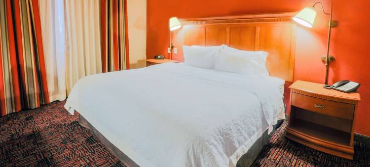 休斯顿西北汤博尔欢朋套房酒店(Hampton Inn & Suites by Hilton Tomball Houston NW)图片