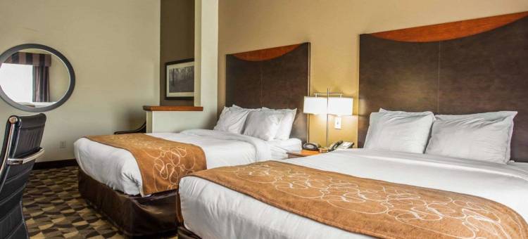 哈比森哥伦比亚舒适全套房酒店(Comfort Suites Columbia at Harbison)图片