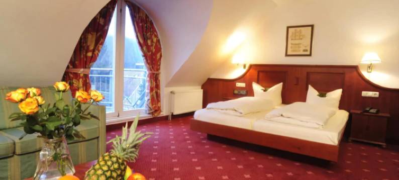 格罗皮厄斯别墅酒店(Hotel Villa Gropius)图片