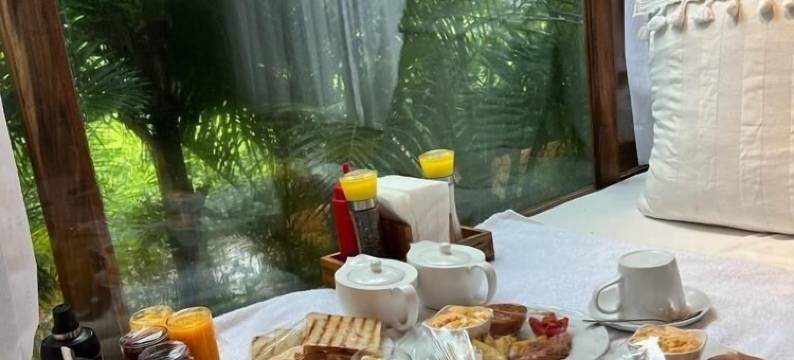 图利武基里马纳罗返乡(Tulivu Kilimanjaro Retreat)图片