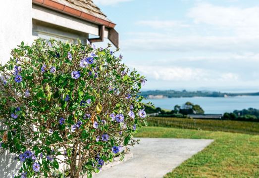Mudbrick Cottages Hotel Overview