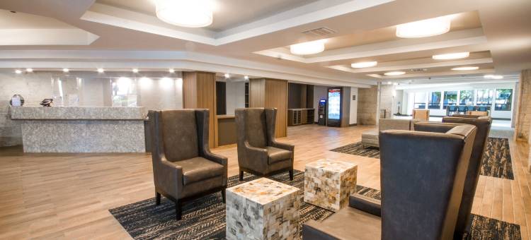 布里克尔市中心 - 迈阿密港舒适套房酒店(Comfort Inn & Suites Downtown Brickell-Port of Miami)图片