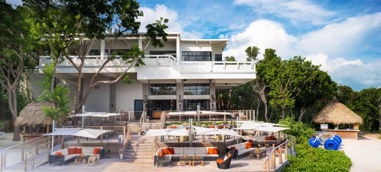 贝克湾基拉戈岛度假酒店-希尔顿格芮精选(Baker's Cay Resort Key Largo, Curio Collection by Hilton)图片
