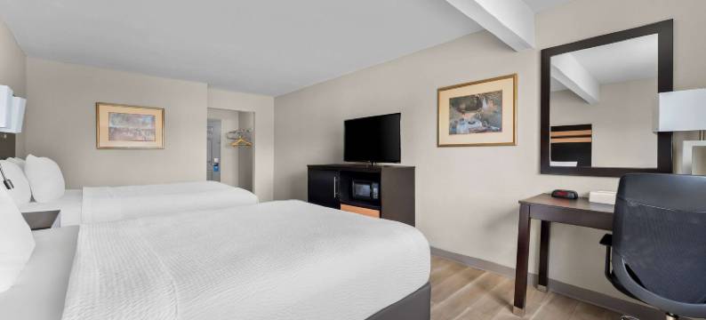 奥尔巴尼桑尼戴斯酒店(Days Inn by Wyndham Albany Suny)图片