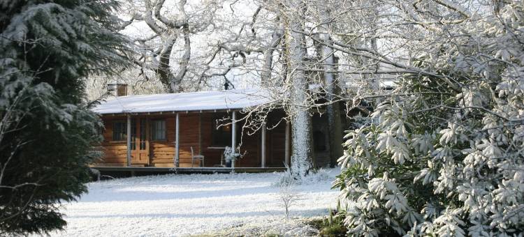 布里奥斯之家住宿加早餐旅馆(Parc-Le-Breos House)图片