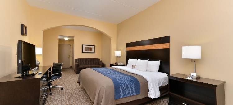 斯通山舒适套房酒店(Comfort Inn & Suites at Stone Mountain)图片