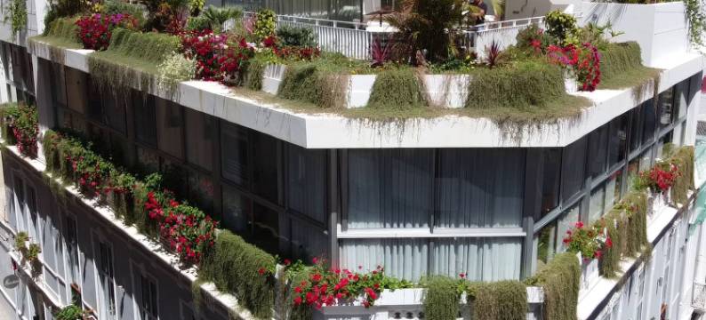 嗨标志套房酒店(Hotel Emblemático Hi Suites)图片