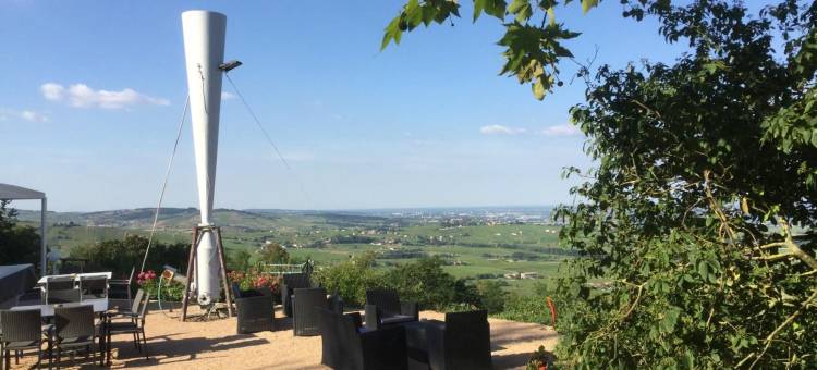 莱斯德桑纳豪华旅馆(Auberge les Hauts de Chenas)图片