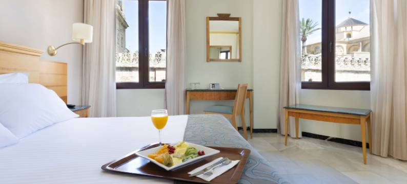 迈蒙尼德酒店(Eurostars Maimonides)图片