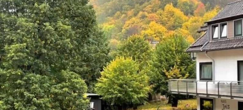 哈茨酒店艾瑞斯(Harz Hotel Iris)图片