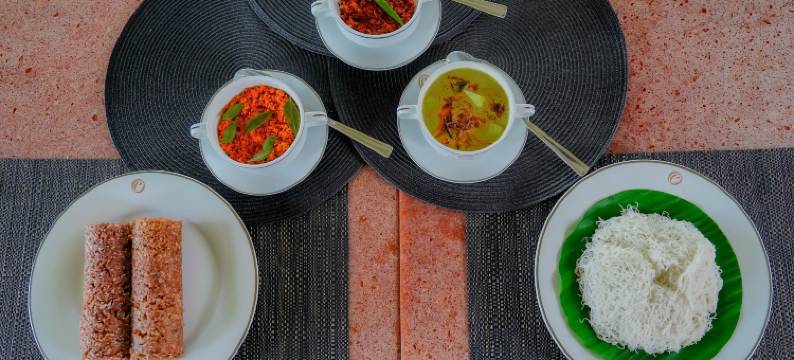 塞莱斯蒂亚阿育吠陀度假村(Celestia Ayurveda Resort)图片