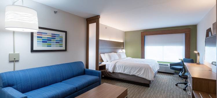 阿林顿北体育场区智选假日套房酒店(Holiday Inn Express & Suites Arlington North – Stadium Area)图片