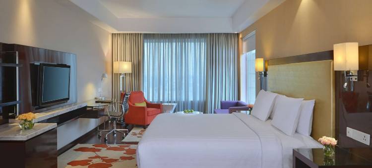 阿格拉丽笙酒店(Radisson Hotel Agra)图片