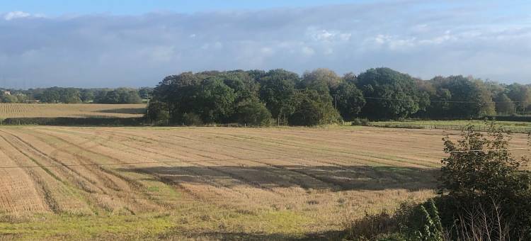 皮克米尔乡间民宿(Pickmere Country House)图片