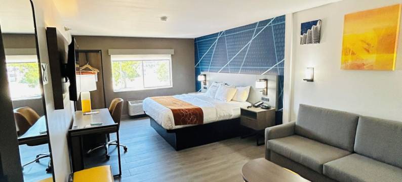 特雷霍特大学区舒适套房酒店(Comfort Suites Terre Haute University Area)图片