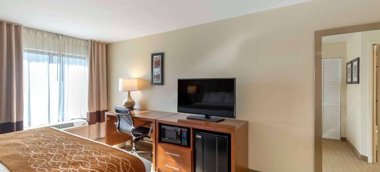 肯尼索舒适酒店(Comfort Inn Kennesaw)图片