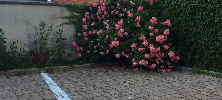 度商务酒店(Hôtel du Commerce)图片