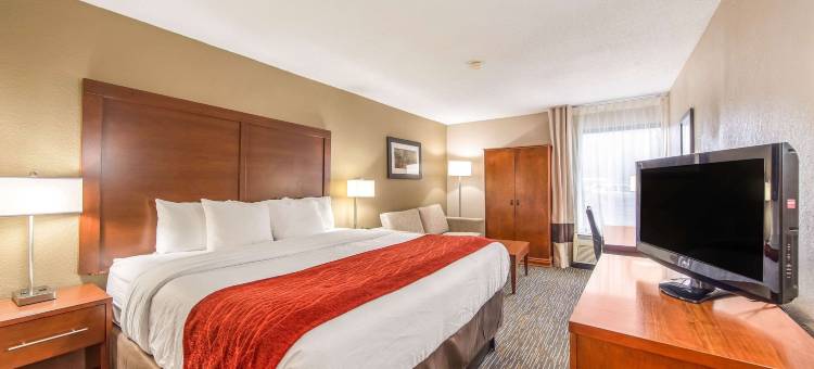 格林维尔海伍德购物中心舒适酒店(Comfort Inn Greenville - Haywood Mall)图片