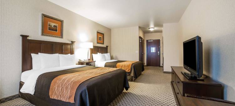 拉斯维加斯亨德森舒适套房酒店(Comfort Inn & Suites Henderson - Las Vegas)图片