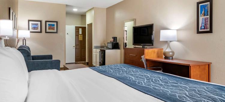 伯明翰-艾昂戴尔舒适酒店(Comfort Inn Birmingham - Irondale)图片