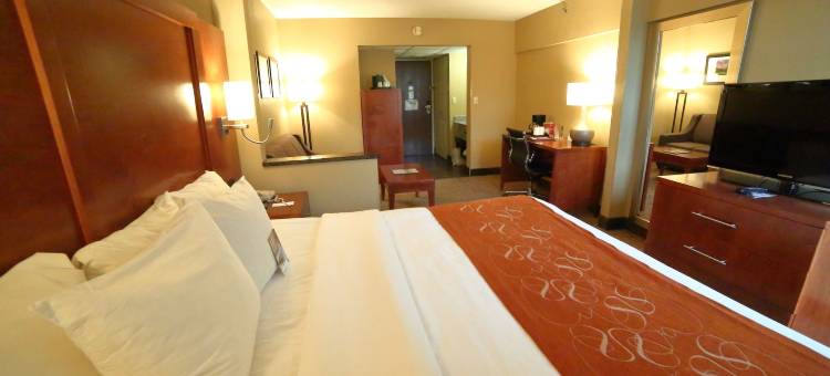 伯利恒舒适套房酒店-近利哈伊大学和LVI机场(Comfort Suites Bethlehem Near Lehigh University and LVI Airport)图片