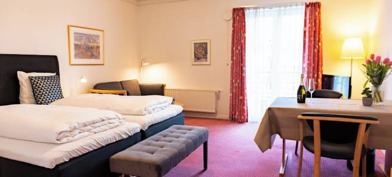 帕拉兹酒店(Palads Hotel)图片