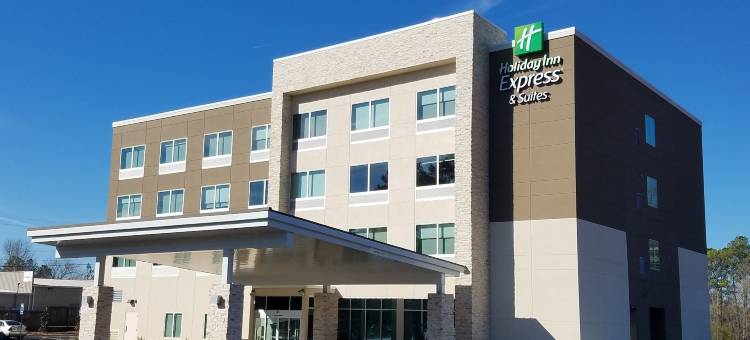 智选假日套房酒店-卡罗尔顿西(Holiday Inn Express & Suites Carrollton West)图片