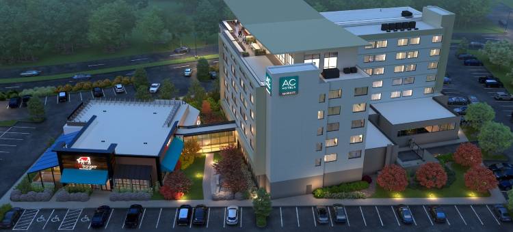 布里奇沃特万豪AC酒店(AC Hotel Bridgewater)图片