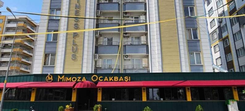 Mimoza商务公寓(Mimoza Business Apart)图片