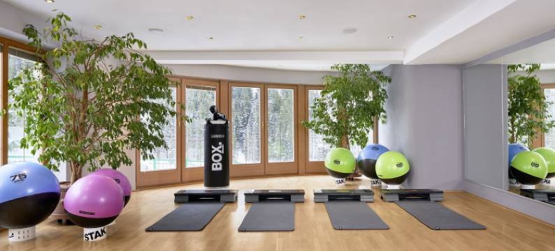 埃尔德旅店提洛尔山高级度假村(Adler Inn Tyrol Mountain Resort Superior)图片