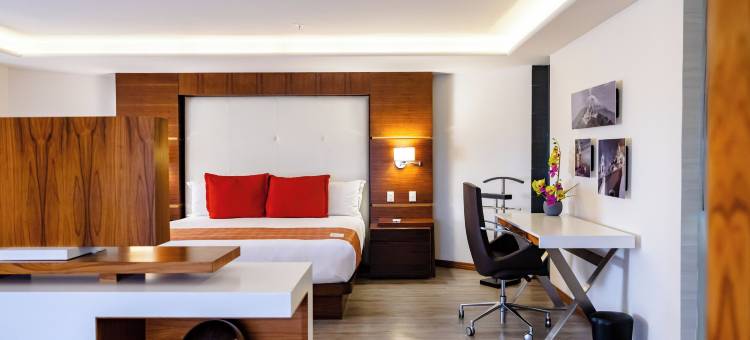 JF 格兰特普耶布拉酒店(JF Grand Puebla)图片