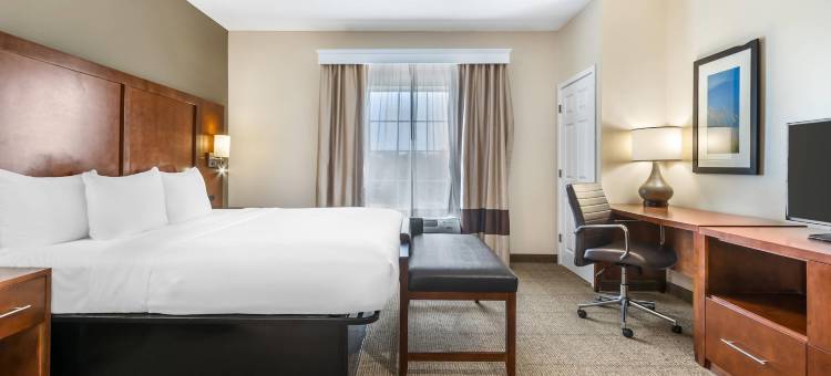 默特尔比奇中央舒适套房酒店(Comfort Suites Myrtle Beach Central)图片