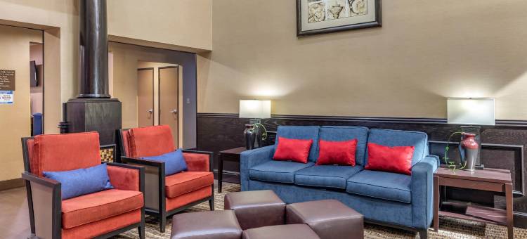 舒适套房酒店-克洛尼普莱诺西(Comfort Suites the Colony - Plano West)图片