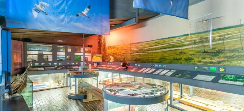 Karhunkierros小木屋和小屋(Arctic Circle Apartment and Cabins)图片