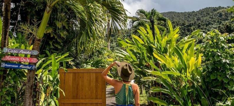 巴查之家(Casa Parcha)图片