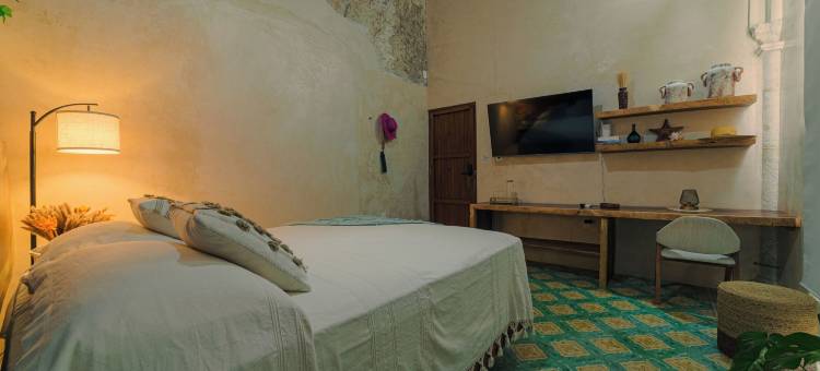 兰兹之家XVII精品酒店(Hotel Boutique Casa Lanz XVII)图片