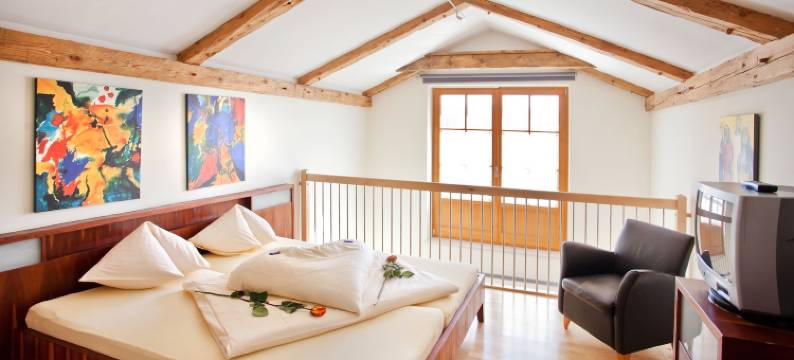 宾格尔酒店(Hotel Binggl)图片