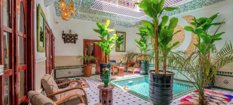 沙漠橙树庭院旅馆(Riad les Orangers du Désert)图片