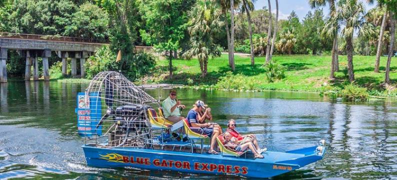 盖托尔巢穴汽车旅馆(The Gator Den)图片