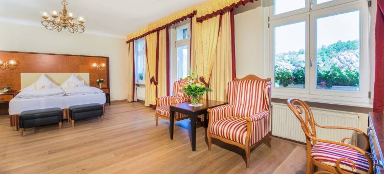 贝尔维尤莱恩酒店(Bellevue Rheinhotel)图片