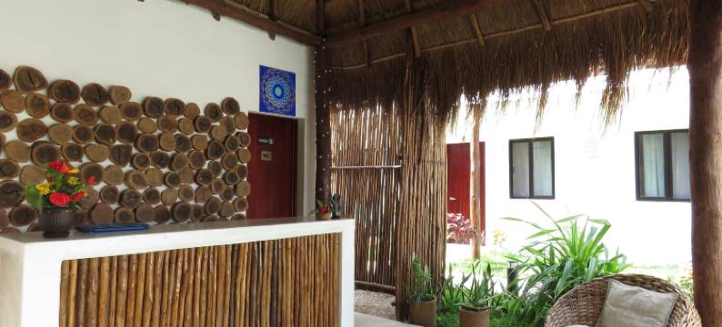 蓝色酒店 36(Azul 36 Hotel)图片