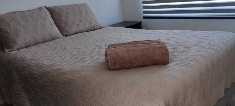 劳雷尔房子(Casa Laurel)图片