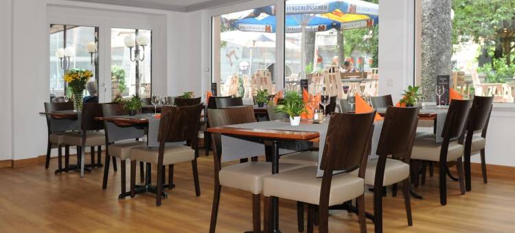 拉登杜米迪酒店(La Dent-Du-Midi Hôtel & Restaurant)图片