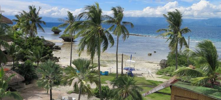 野兰花度假村(The Wild Orchid Resort - Moalboal)图片