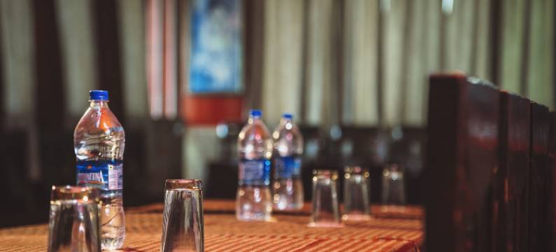 乌代布尔米纳克希酒店(Hotel Meenakshi Udaipur - Family Preffered Hotel)图片