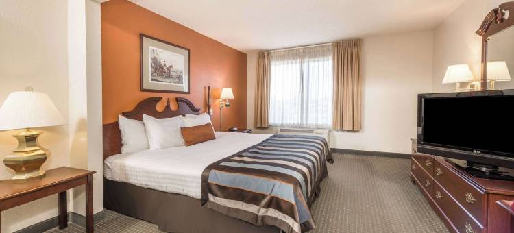 印第安纳波利斯机场-罗克维尔路蔚景温德姆酒店(Wingate by Wyndham Indianapolis Airport-Rockville Rd.)图片