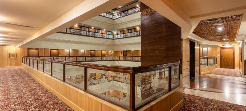 斯里纳格丽筠酒店(Radisson Srinagar)图片