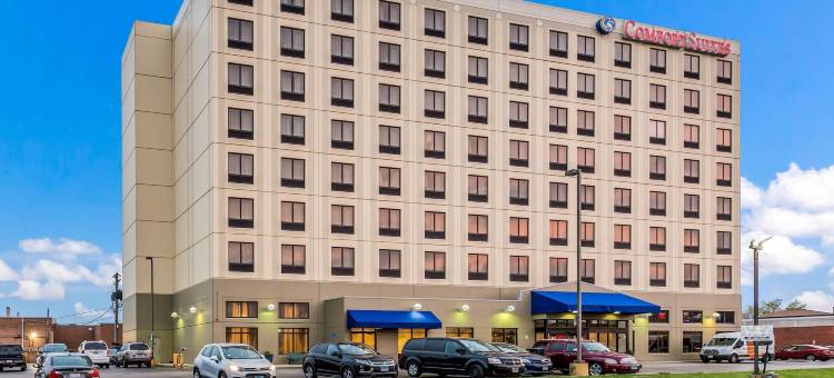 芝加哥奥黑尔机场舒适套房酒店(Comfort Suites Chicago O'Hare Airport)图片