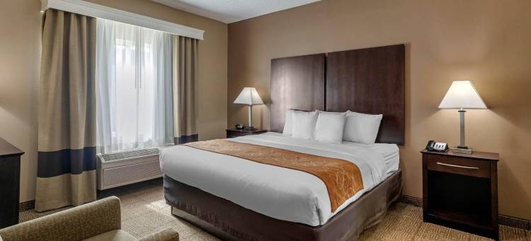 舒适套房酒店-克洛尼普莱诺西(Comfort Suites the Colony - Plano West)图片